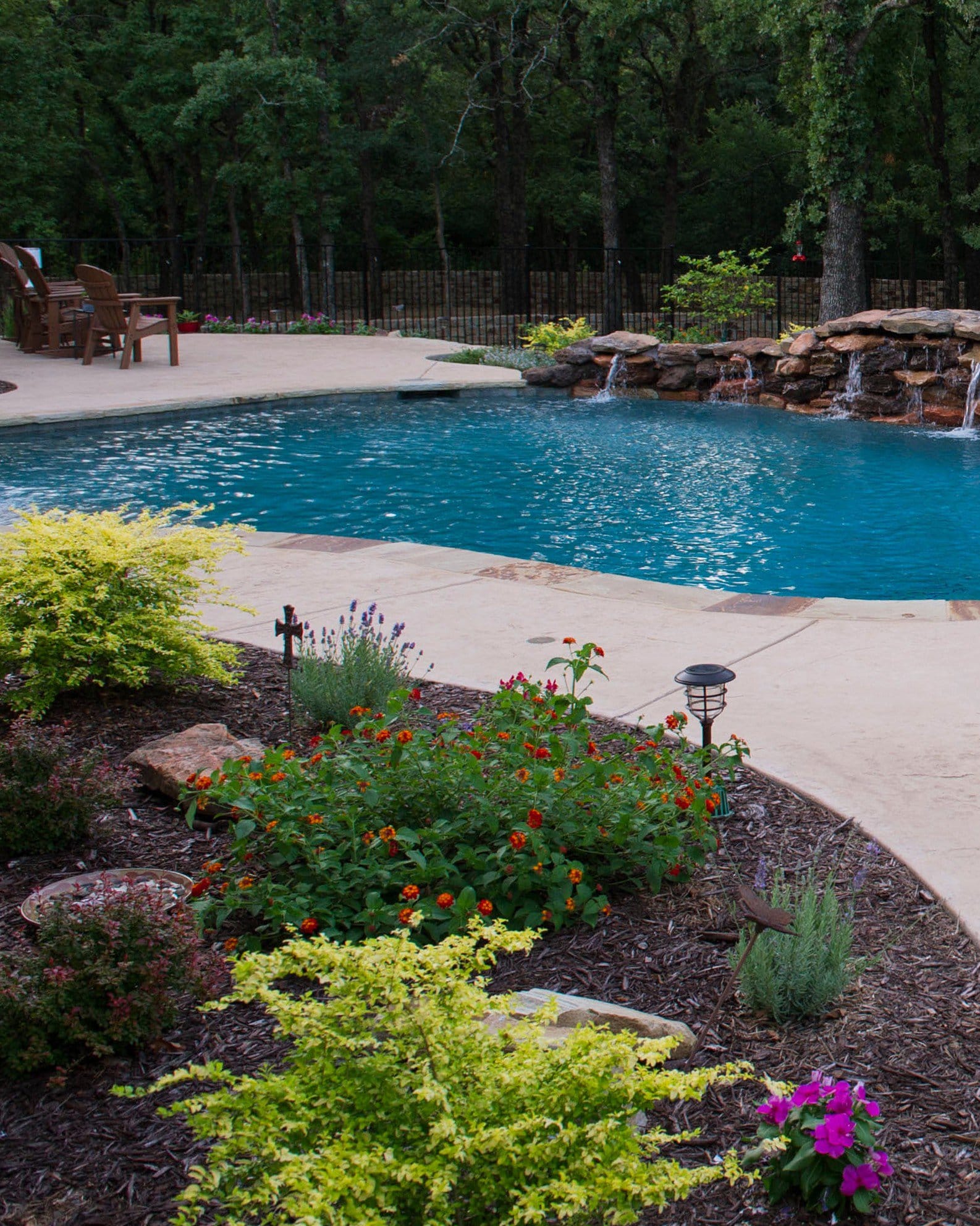 Dallas Red Lantana - view 4