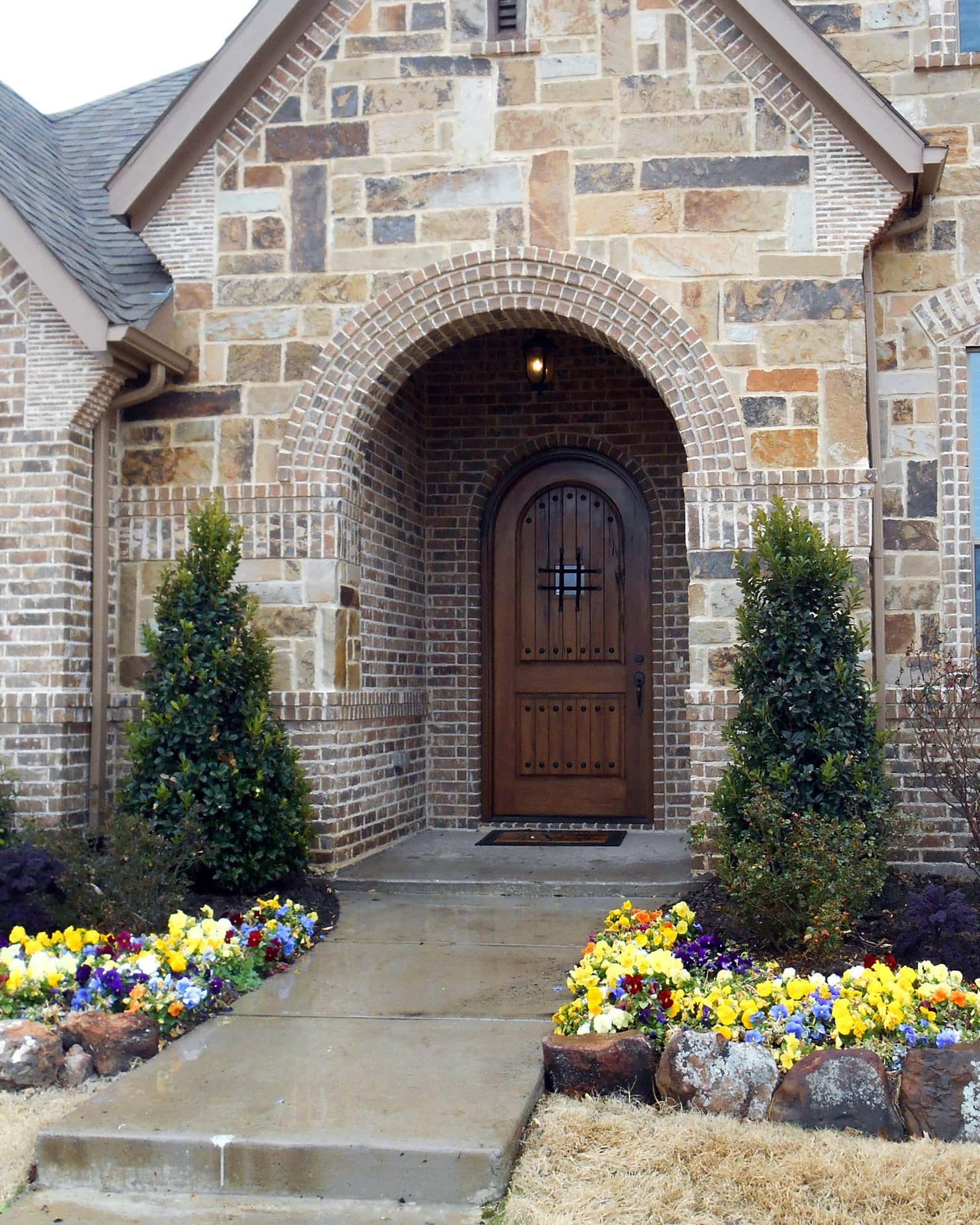 Oakleaf Holly - Image 7