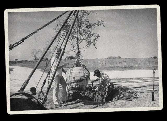 Historical photo 2