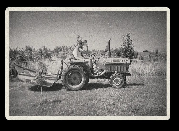 Historical photo 3