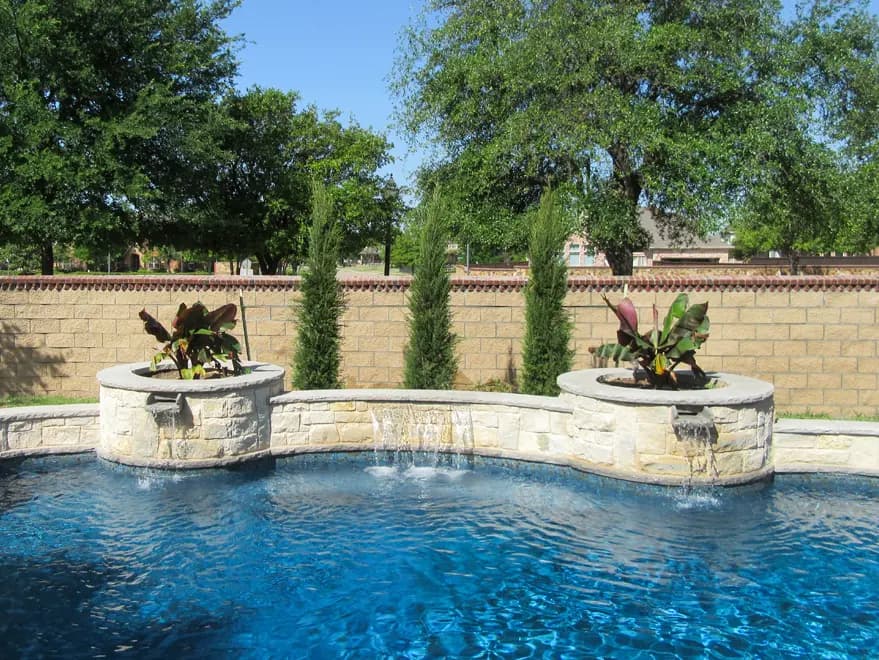 Eastern Red Cedar ‘Taylor’ Aka Taylor Junipers, planted between a pool and fence.